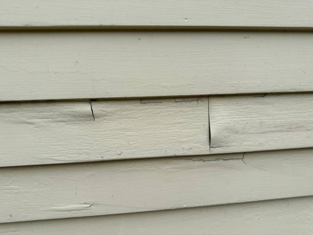 Best Siding for Multi-Family Homes  in Buchanan, VA